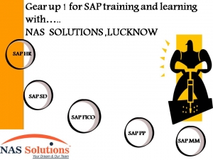 SAP TRAINING (FICO/HR/PP/MM/SD)with 100% job assistance at N
